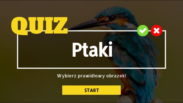 ptaki