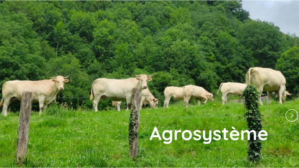 AGROSYSTÈME