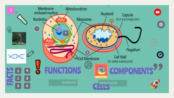 CELLS | Genially