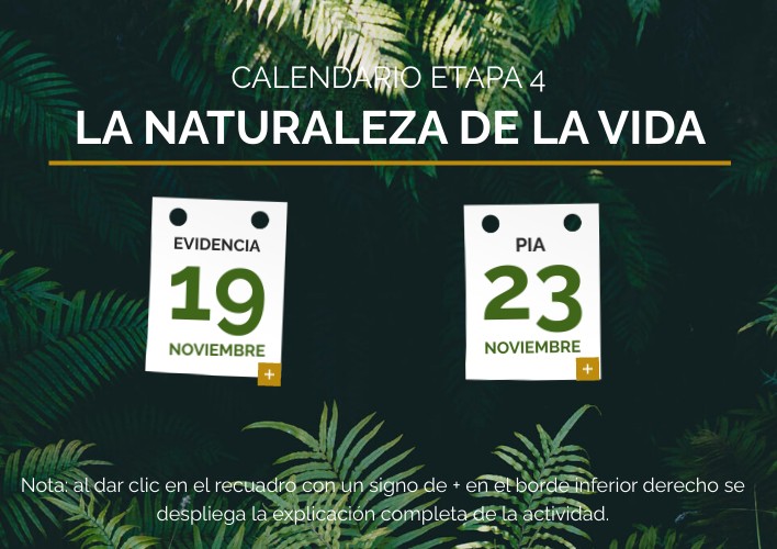 Calendario Naturaleza E4 Etapa 4