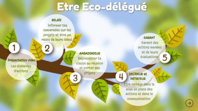 Eco-Délégués Lycée