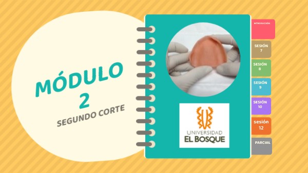 modulo 2 septimo | Genially