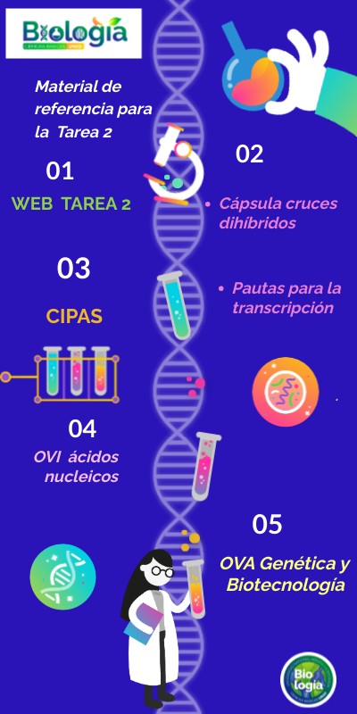 Apoyos tarea 3 2021 16-04 | Genially