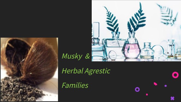 Musk & Herbal Agrestic | Genially