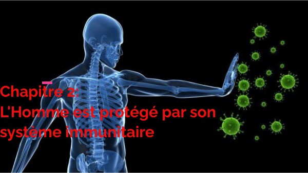2021- 3e chapitre 2 système immunitaire