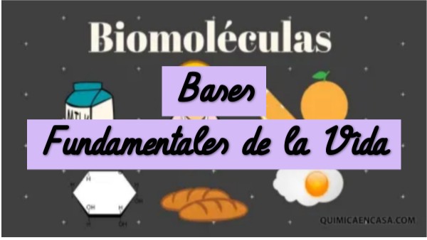 Biomoléculas | Genially
