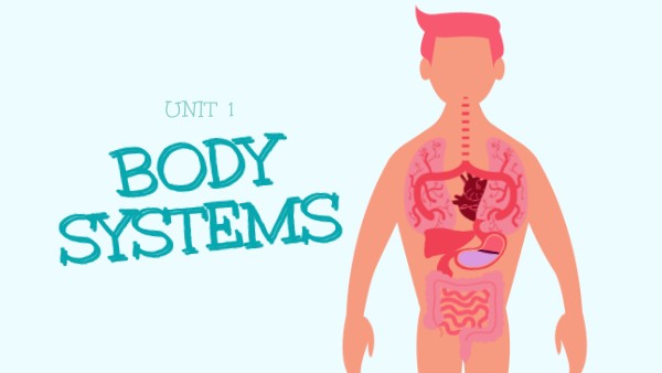 Unit 1: BODY SYSTEMS | Genially