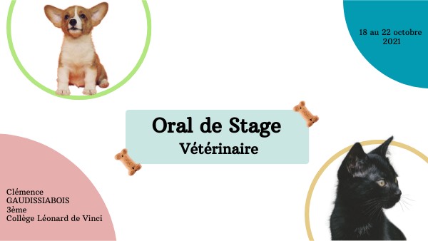 Page De Garde D'un Rapport De Stage Sur Le Vétérinaire Oral de stage Vétérinaire | Genially