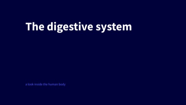 BASIC DARK PRESENTATION
