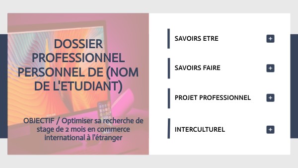 DOSSIER PROFESSIONNEL PERSONNEL