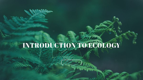 TOPIC 8 | Genially
