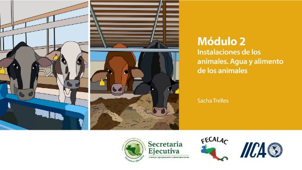 Modulo 2 | Genially