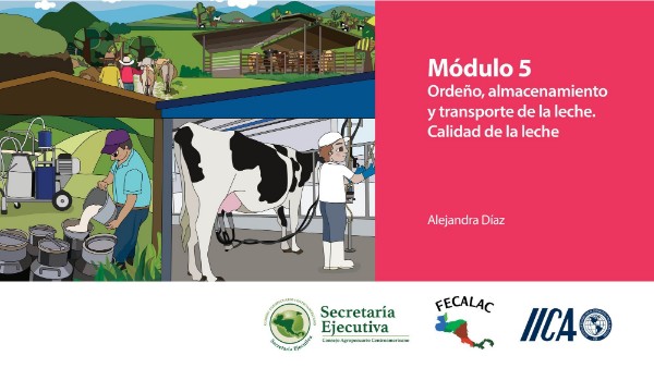 Módulo 5 | Genially