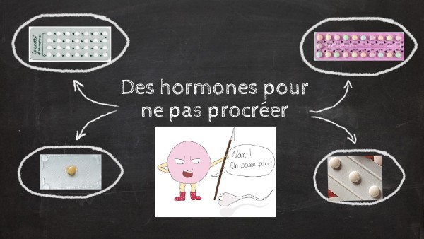 HORMONES POUR NE PAS PROCREER | Genially