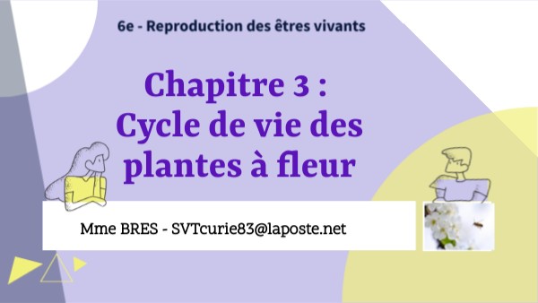 6- Chapitre 3 | Genially