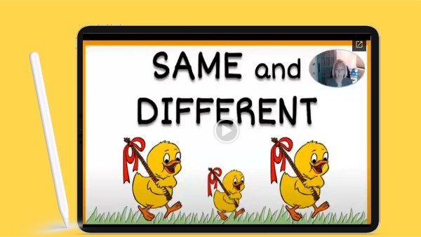 PK 8.4 Same and Different | Genially