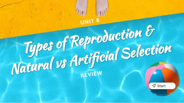 Unit 8 Review Genially