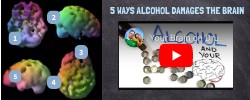 5 Ways Alcohol Damages the Brain | Genially