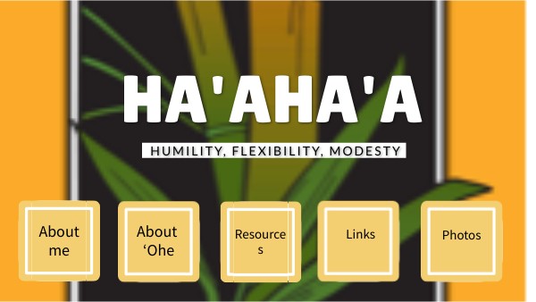 Haʻahaʻa