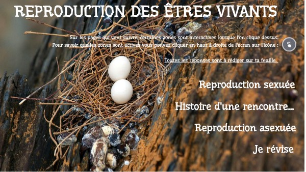 C1_Reproduction des êtres vivants_2024