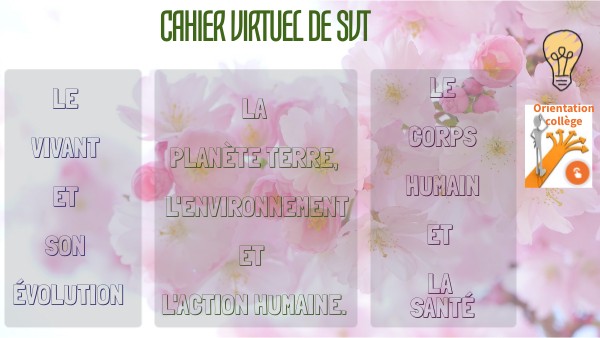 cours 4e 2025 | Genially