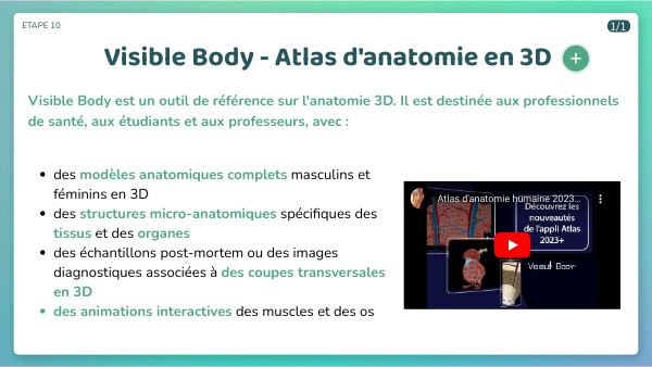 L1 Podo : Visible Body - Atlas d'anatomie 3d