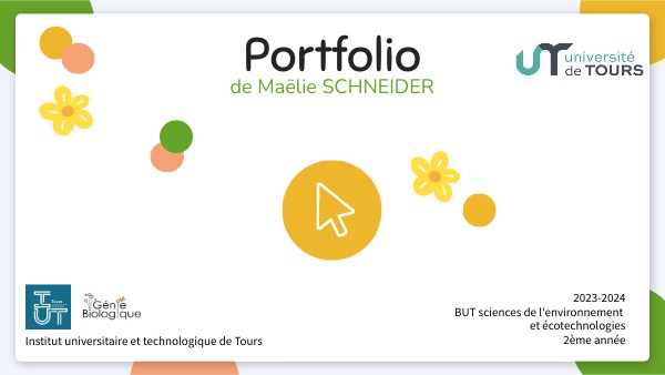 Portfolio | Genially