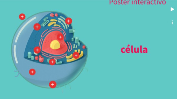 Póster interactivo célula | Genially