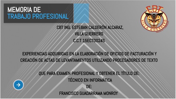 MEMORIA DE TRABAJO PROFESIONAL