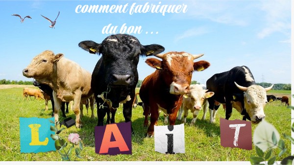 Dossier interactif basique | Genially