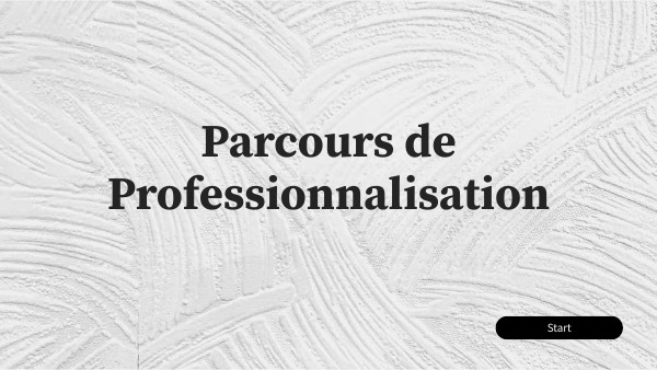 Parcours de professionnalisation