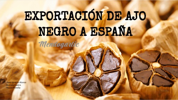 Plan Estrategico