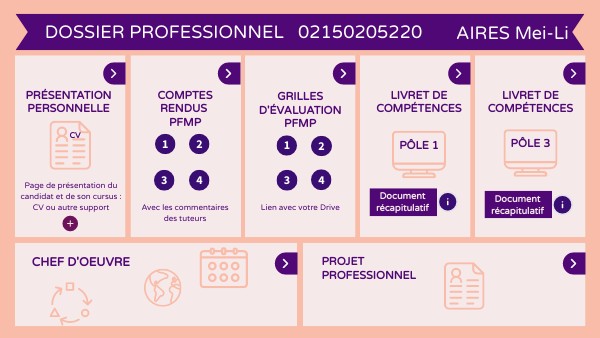DOSSIER PROFESSIONNEL AGORA