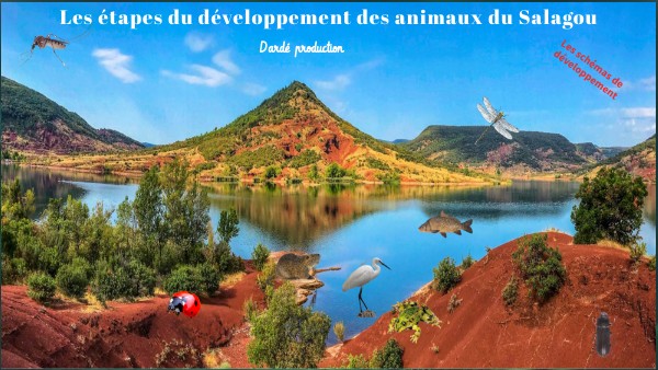 Copie - étapes du développement des animaux du Salagou | Genially