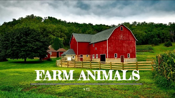 Farm Animals 4 EI | Genially