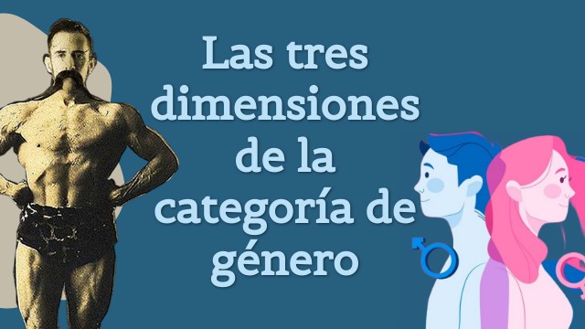 1.2 Las tres dimensiones de la categoría de género | Genially