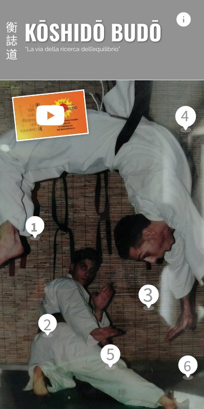 koshido budo