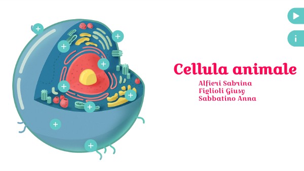 Poster interattivo cellula