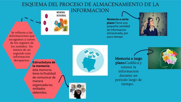 Esquema del proceso de almacenamiento de la información | Genially