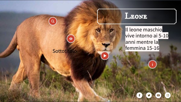 Leone | Genially