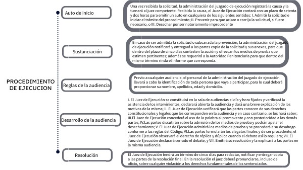 PROCEDIMIENTO DE EJECUCION