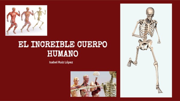 EL INCREÍBLE CUERPO HUMANO