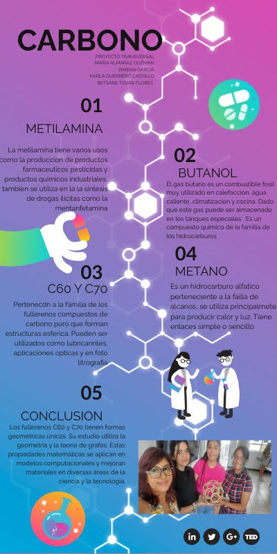 PROYECTO TRANSVERSAL CARBONO
