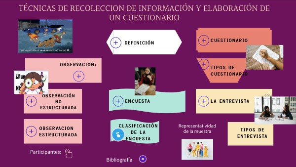 TECNICAS DE RECOLECCION DE INFORMACION 2024