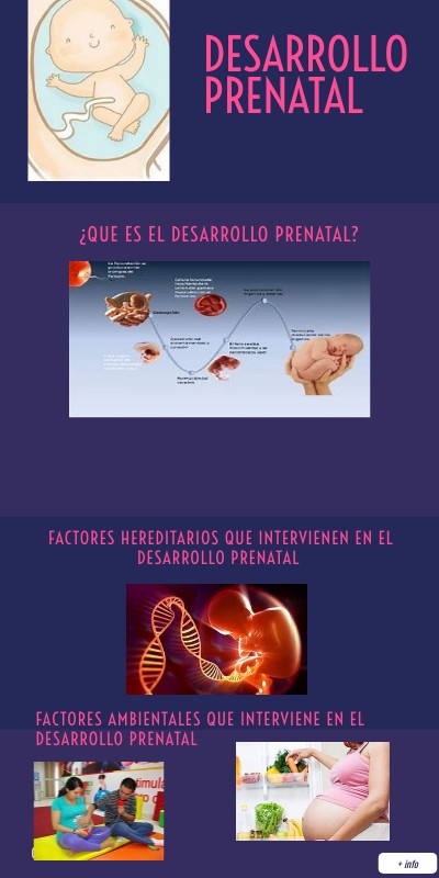 Infografía del Desarrollo Prenatal | Genially