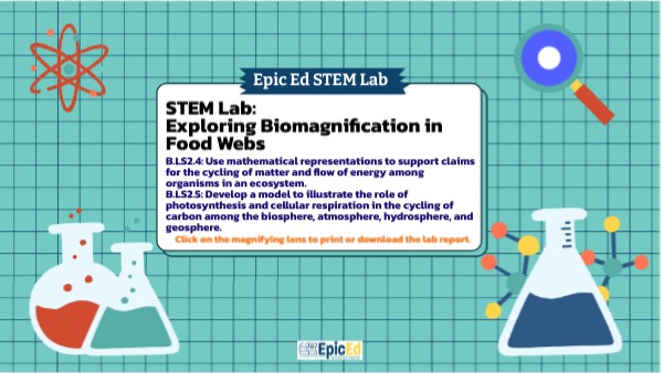 Bio B 1 STEM: Food Web Biomagnification