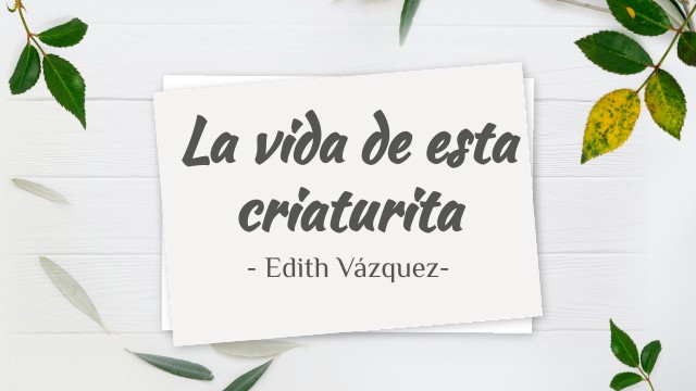 PLAN DE VIDA Y CARRERA | Genially