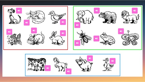 Animals | Genially