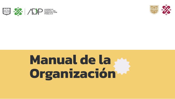 manual de organizaciones