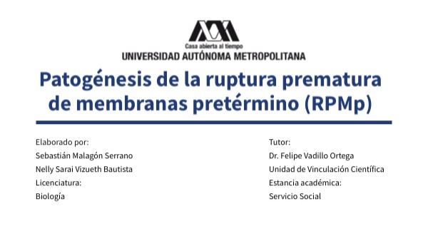 Patogénesis RPMp